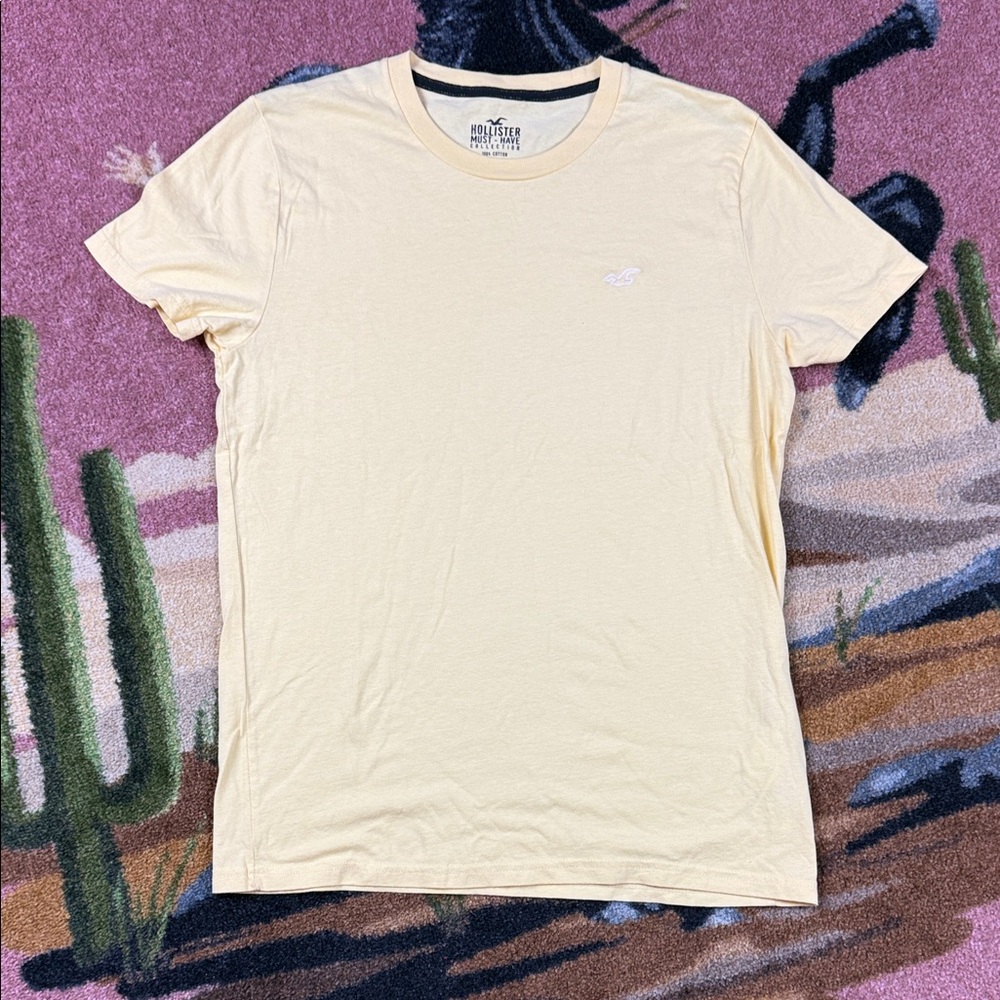 HOLLISTER TSHIRT SM